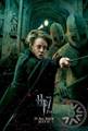 Harry Potter e i doni della morte 2
