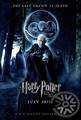 Harry Potter e i doni della morte 2