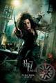 Harry Potter e i doni della morte 2