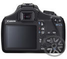 R-Canon 2